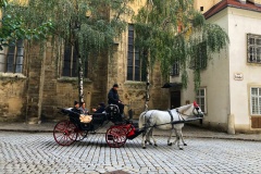 wien-0019