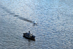 20130919_DSC_2909