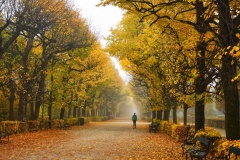 Vienna