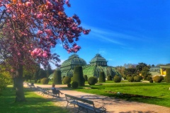 wien-0003