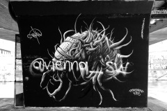 sb_viyana-020